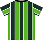 2014ＦＣ岐阜Ｔシャツ背面3.jpg